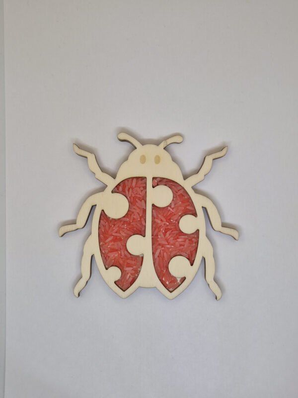 Houten sensorische vulvorm in de vorm van een lieveheersbeestje gevuld met rode speelrijst, geschikt voor sensorisch spel en fijne motoriek.