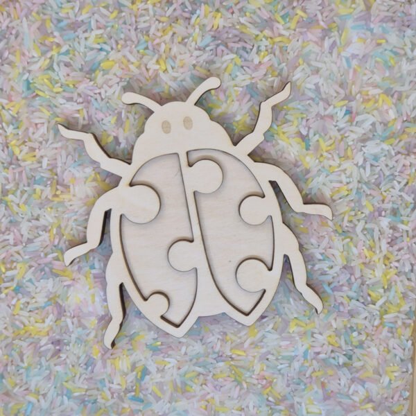 Vultray lieveheersbeestje met speelrijst