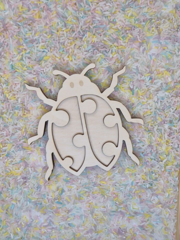 Vultray lieveheersbeestje met speelrijst