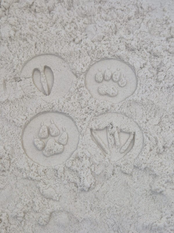 Houten stempelset pootjes voor kinetisch zand – Montessori sensorisch speelgoed 3 jaar Houten stempelset voor kinetisch zand voor kinderen vanaf 3 jaar, Montessori sensorisch speelgoed met dubbelzijdige stempels