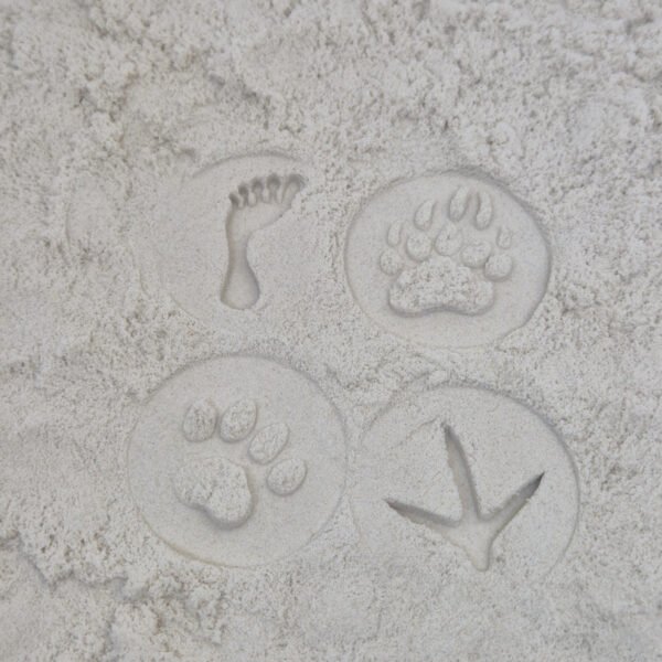 Detail van stempelafdrukken in kinetisch zand gemaakt met houten sensorische stempelset pootafdrukken voor kinderen