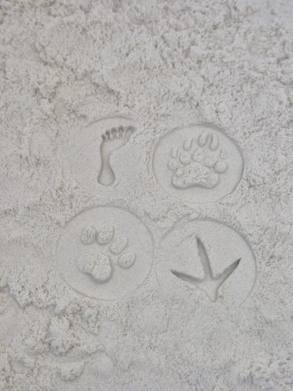 Stempelafdrukken in kinetisch zand met houten kinder stempelset Detail van stempelafdrukken in kinetisch zand gemaakt met houten sensorische stempelset pootafdrukken voor kinderen