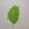 speelrijst los groen Speelrijst Groen