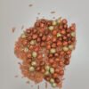 Speelrijst Herfstmix